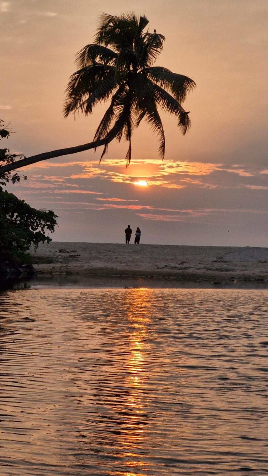 Gypsea Marari Bed and Breakfast Alappuzha Εξωτερικό φωτογραφία